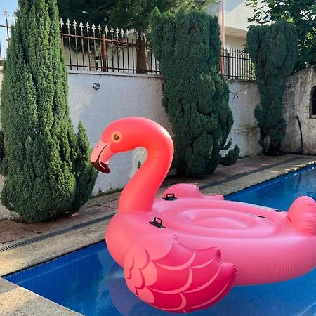 Nadir Bej Holiday Haus Shkodra Exterior foto